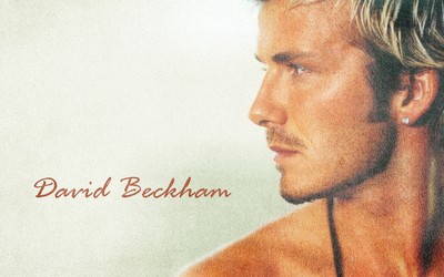 乐鱼电竞热评-人气飙升