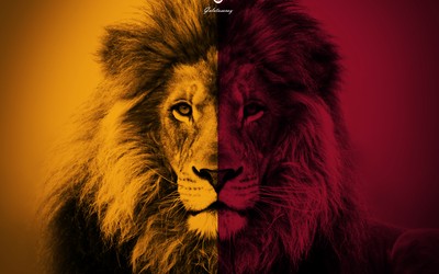 乐鱼电竞热评--落后她一人带队逆转